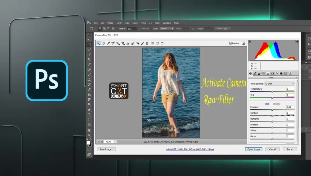 Adjusting raw images using the Camera Raw dialog box