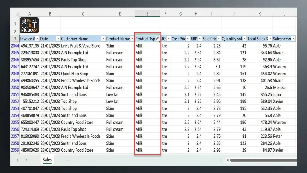 Excel Filter Shortcut key 1