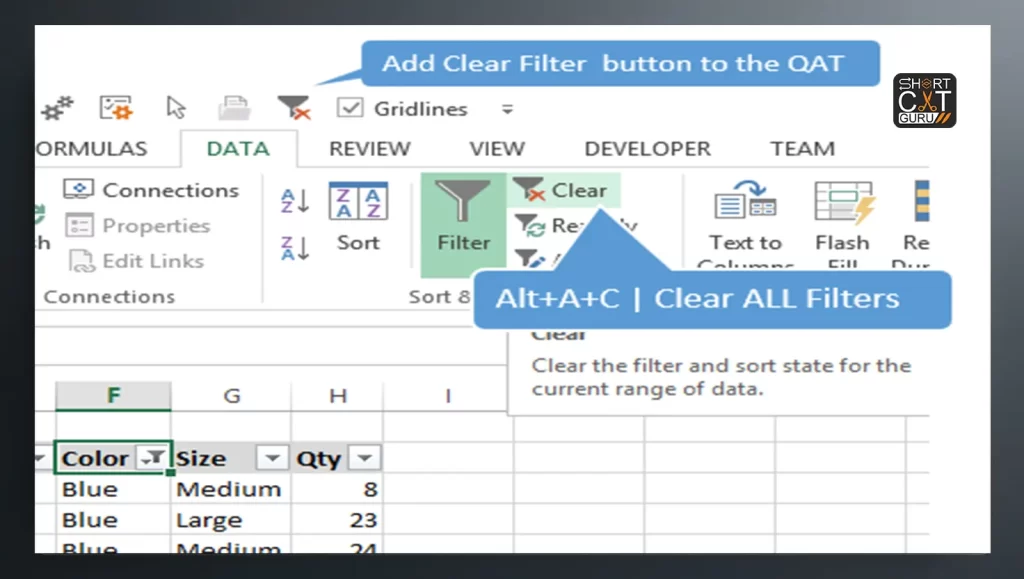 Filter Shortcut Key Clear