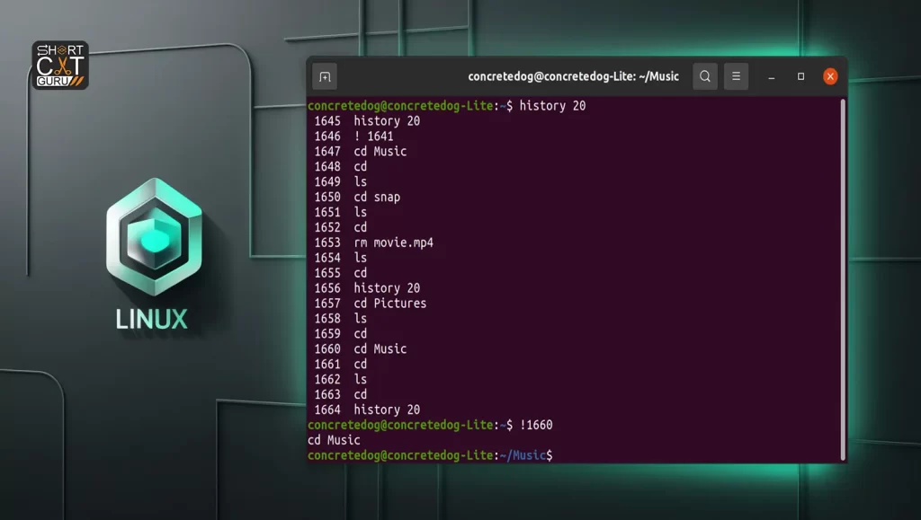 Terminal showing how to scroll through history and repeat commands