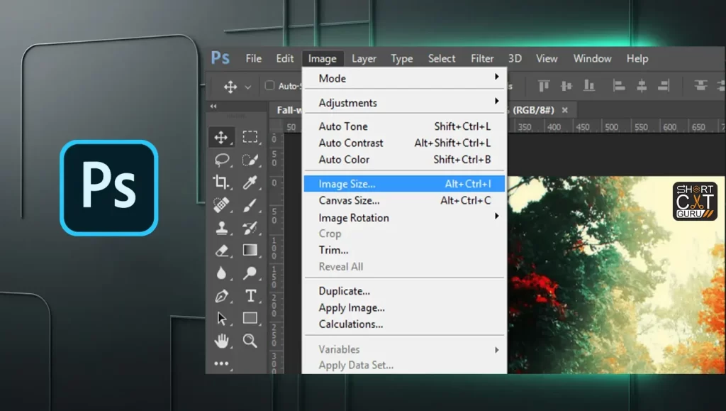 Using navigation tools to view images in Photoshop