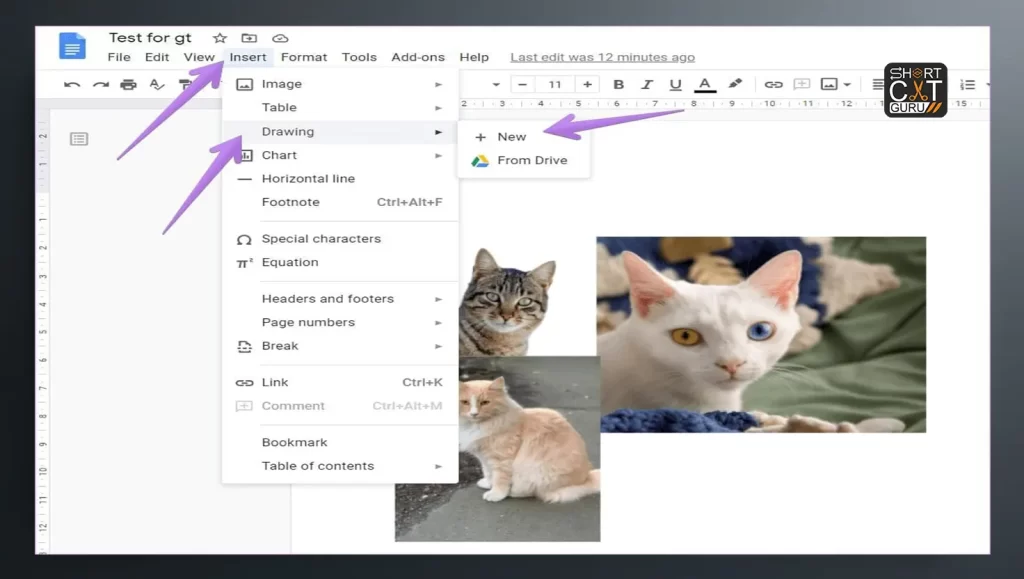 Images and Drawings Google Docs Shortcuts