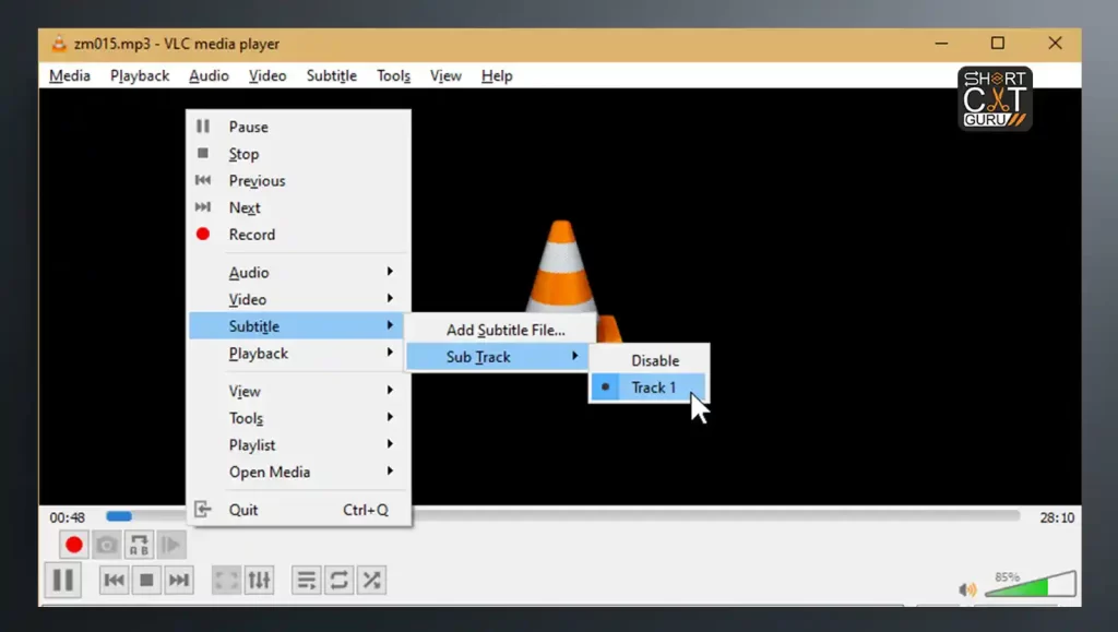 VLC Player Subtitle and Audio Track Handling