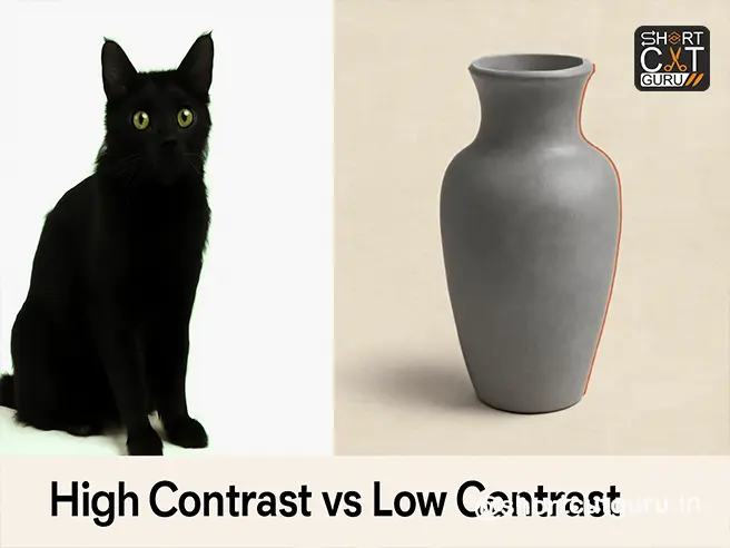Master Photoshop Lasso Tools Like a Pro: Freehand, Polygonal & Magnetic Explained 4 Magnetic Lasso comparison — high vs low contrast subjects